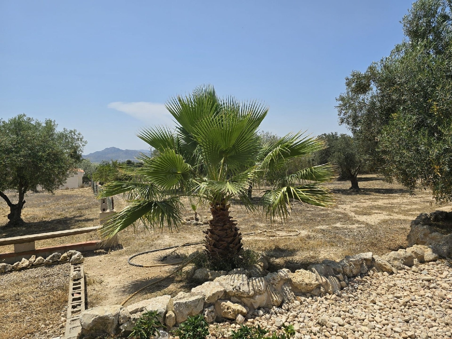  for sale villa Sax Alt Vinalopó 20