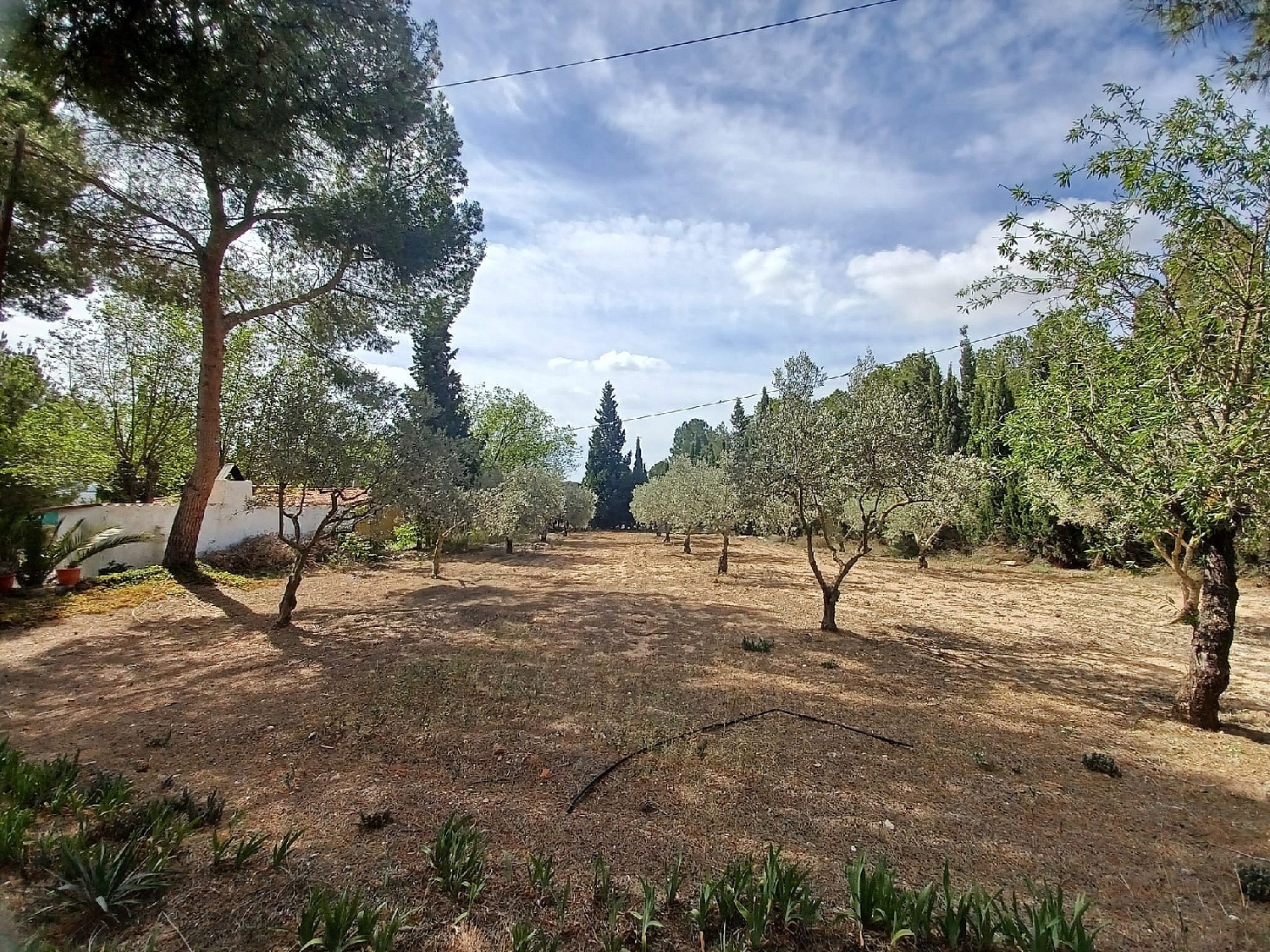  till salu villa Sax Alt Vinalopó 22