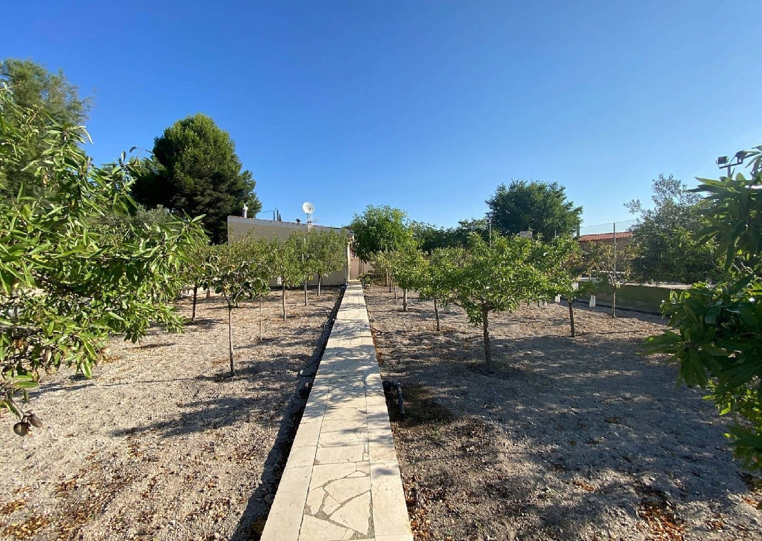  te koop villa Sax Alt Vinalopó 22