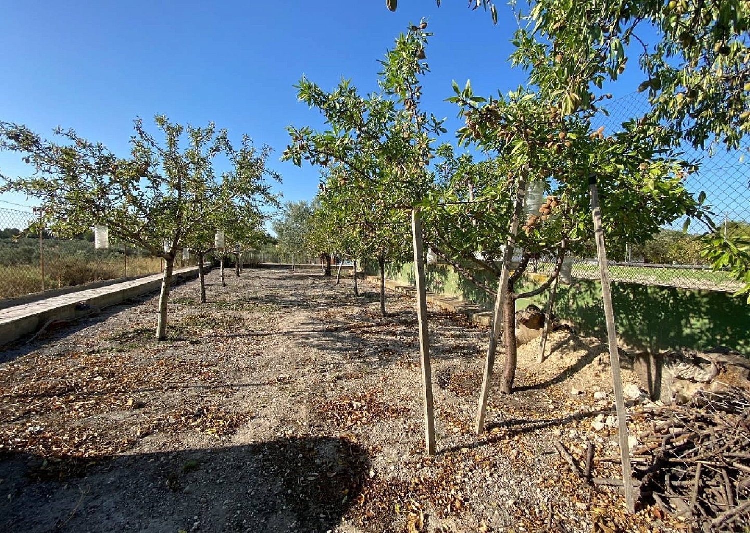  te koop villa Sax Alt Vinalopó 19