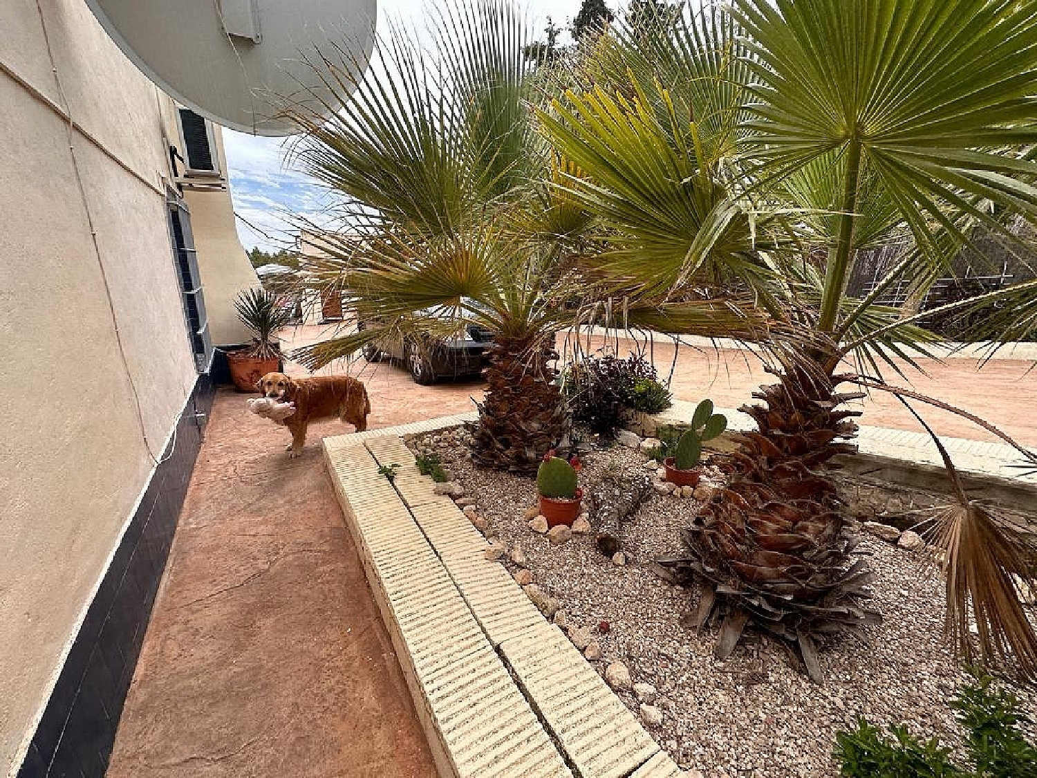  te koop villa Sax Alt Vinalopó 5