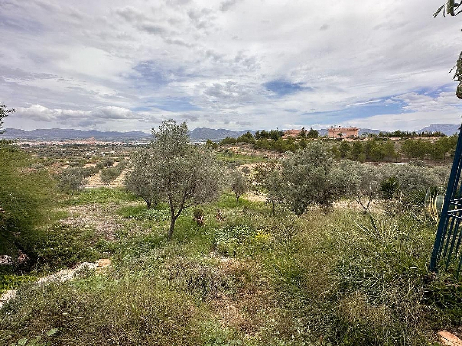  te koop villa Sax Alt Vinalopó 33