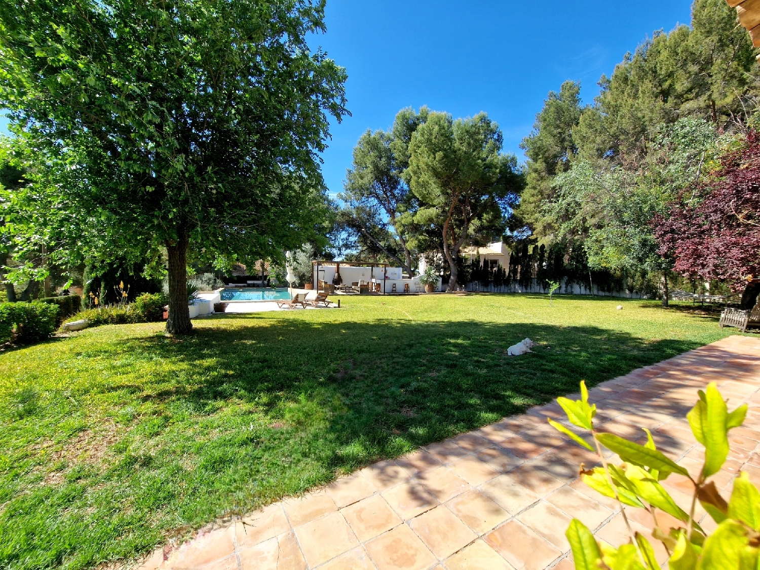  for sale villa Tibi Alcoia 40