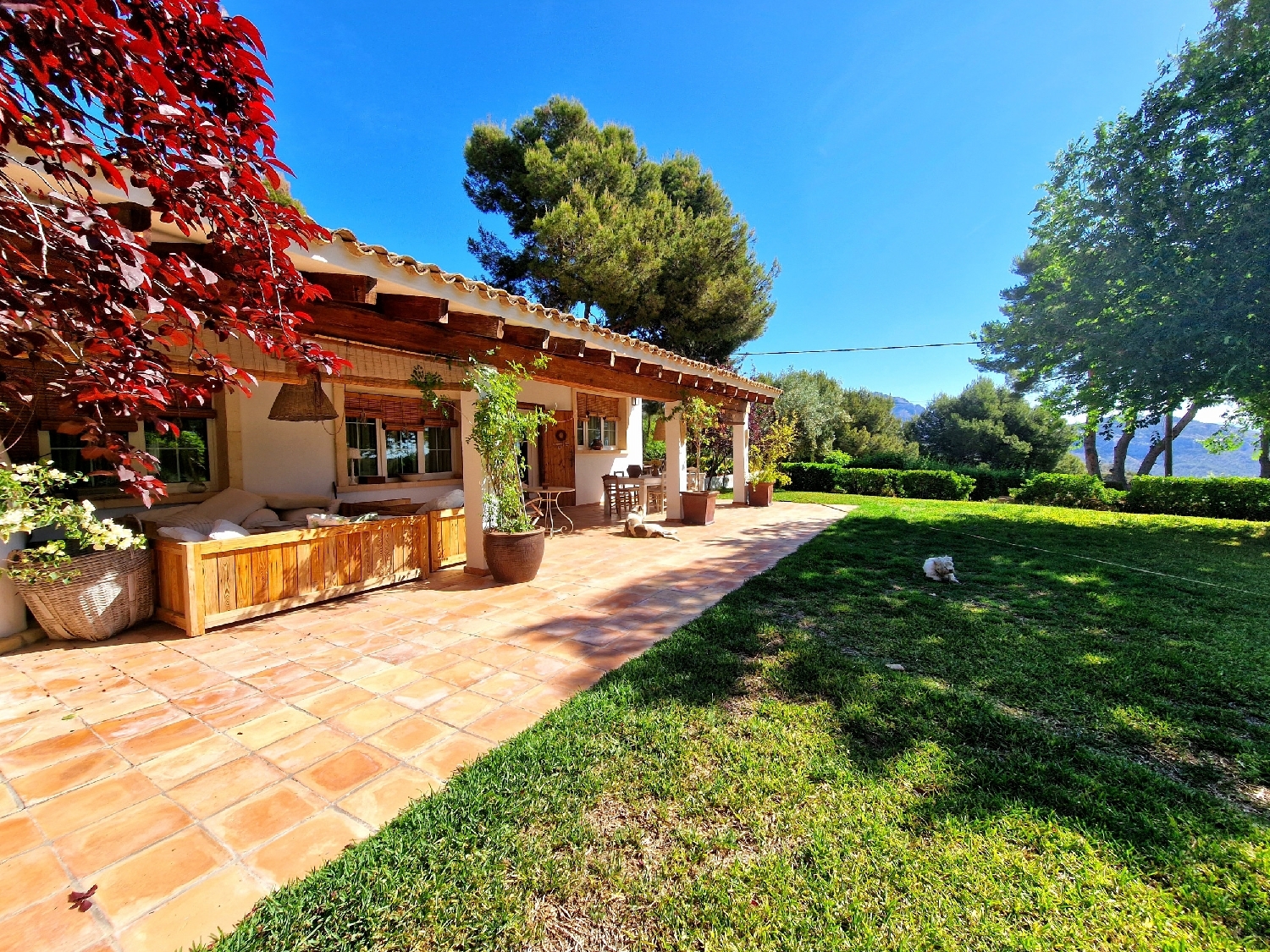  for sale villa Tibi Alcoia 39