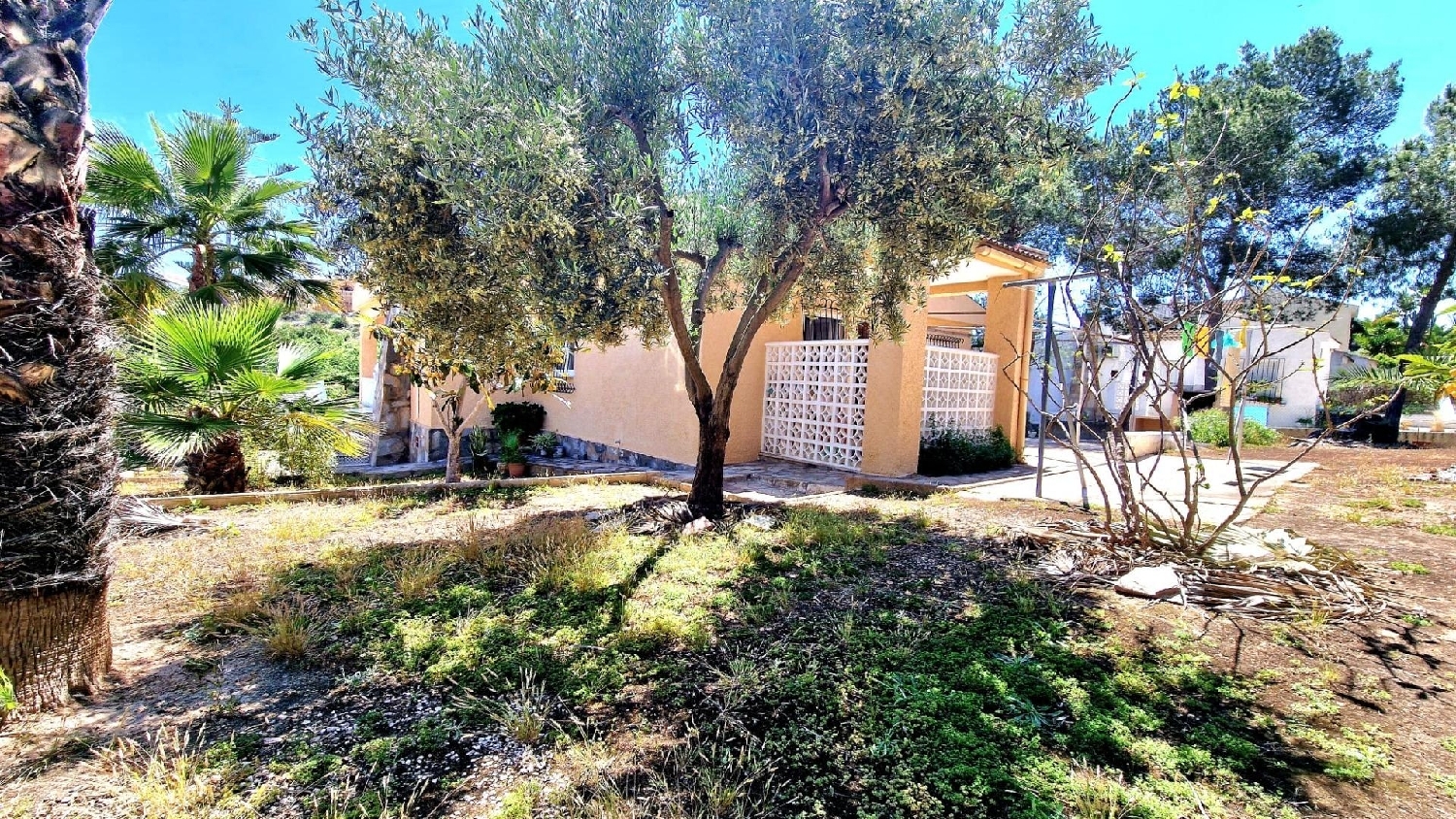  kaufen Villa Torrevieja Baix Segura 3