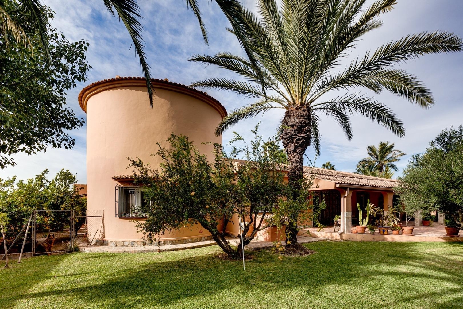  en venta chalet Torrevieja Baix Segura 1