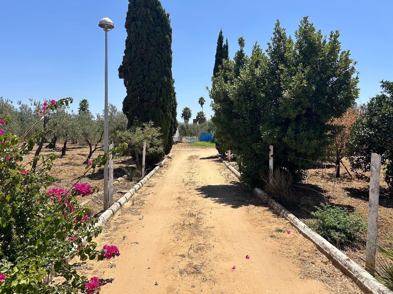  en venta chalet Utrera Bajo Guadalquivir 8