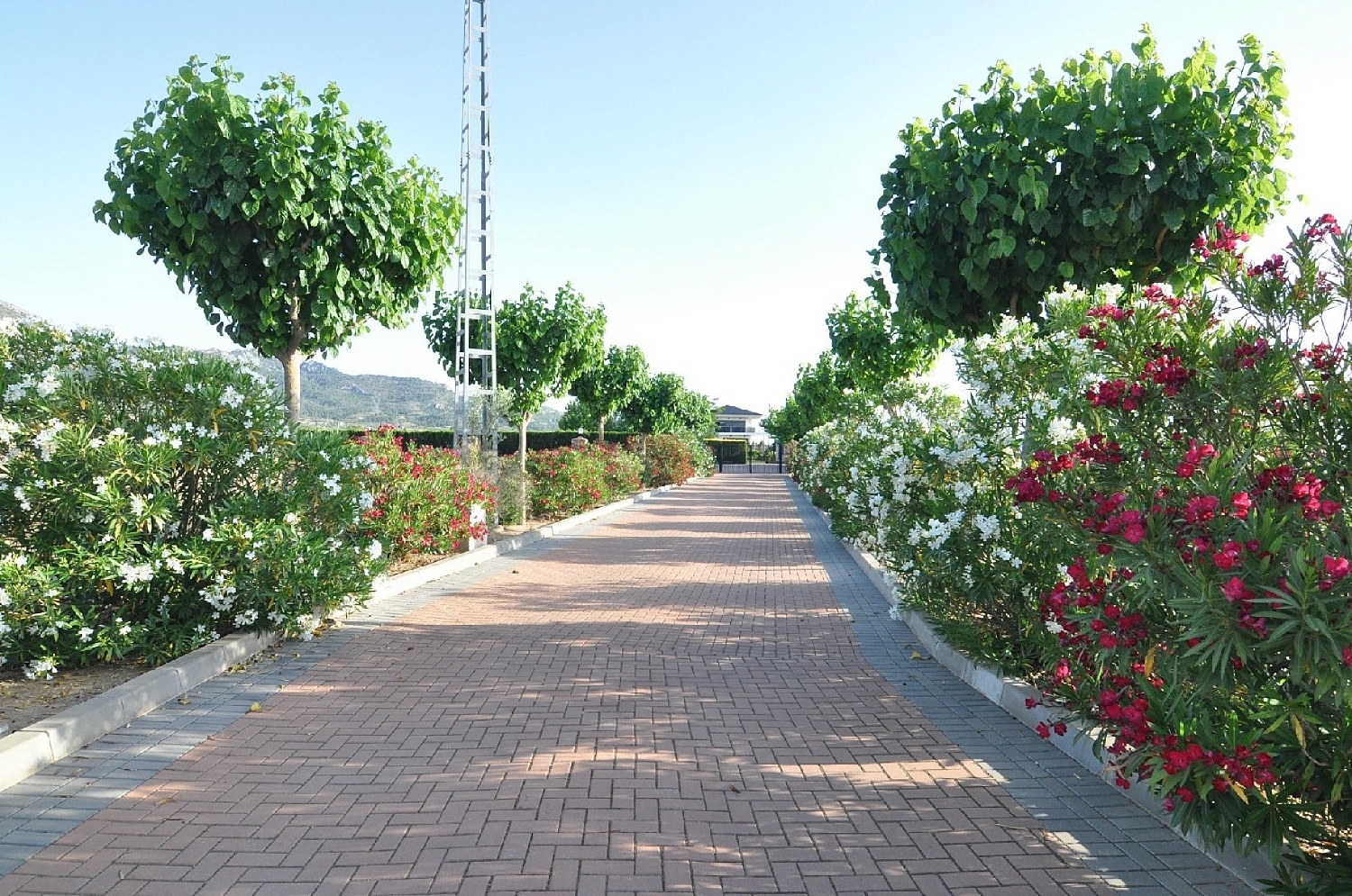  te koop villa Villena Alt Vinalopó 4