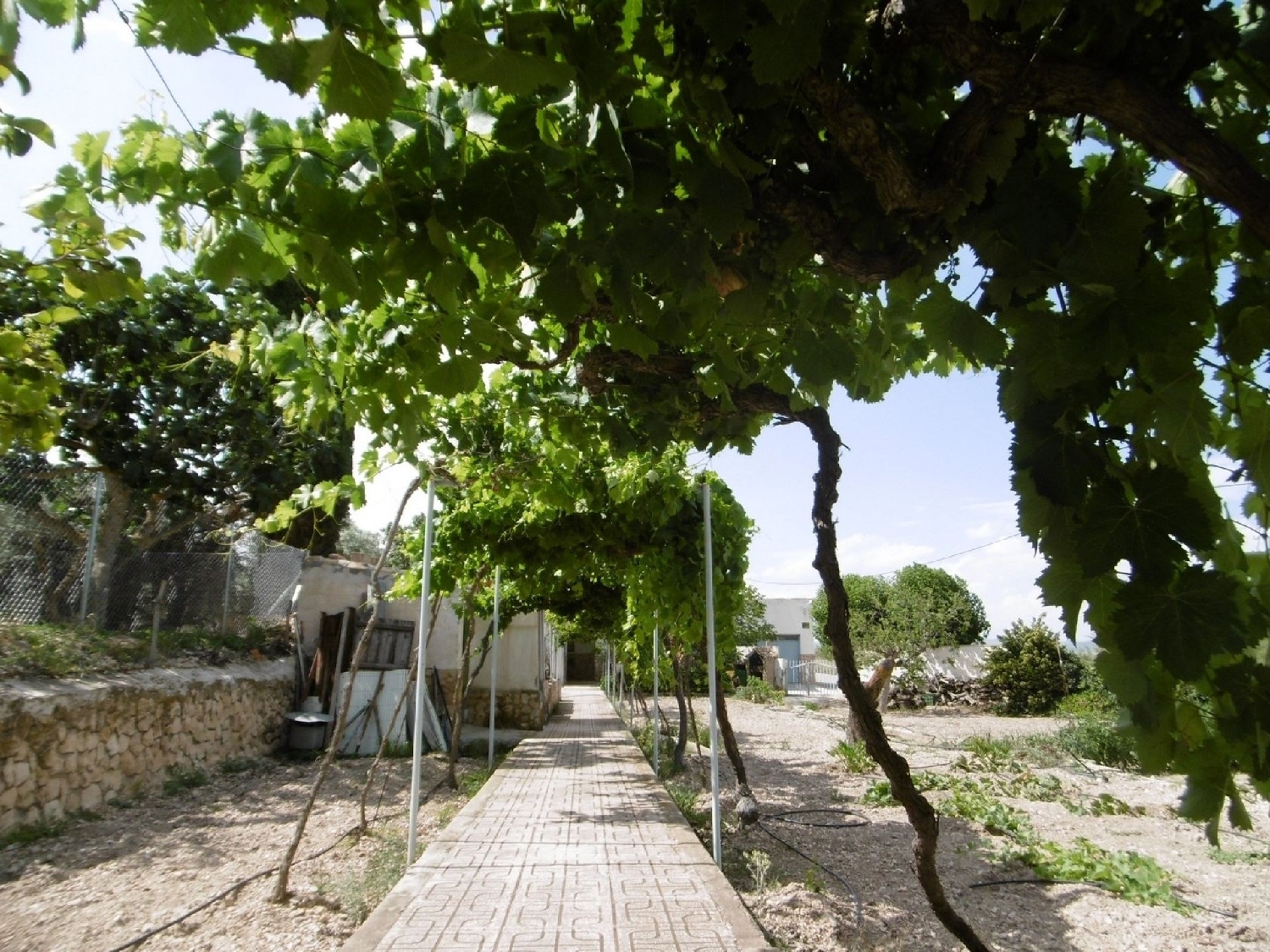  for sale villa Yecla Altiplano 24