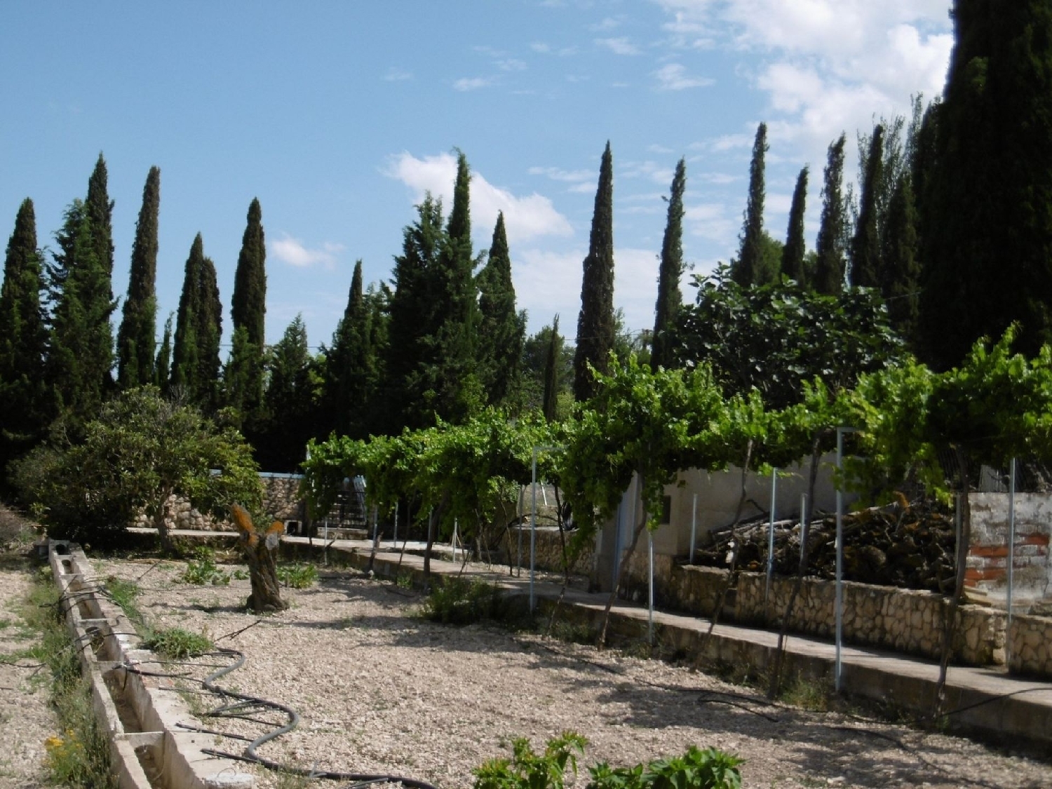  for sale villa Yecla Altiplano 23