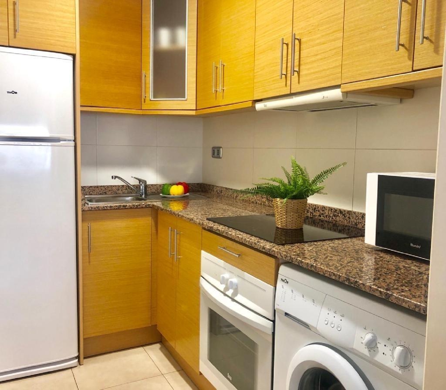  à vendre appartement Alicante Centro 03001 Alacantí 4