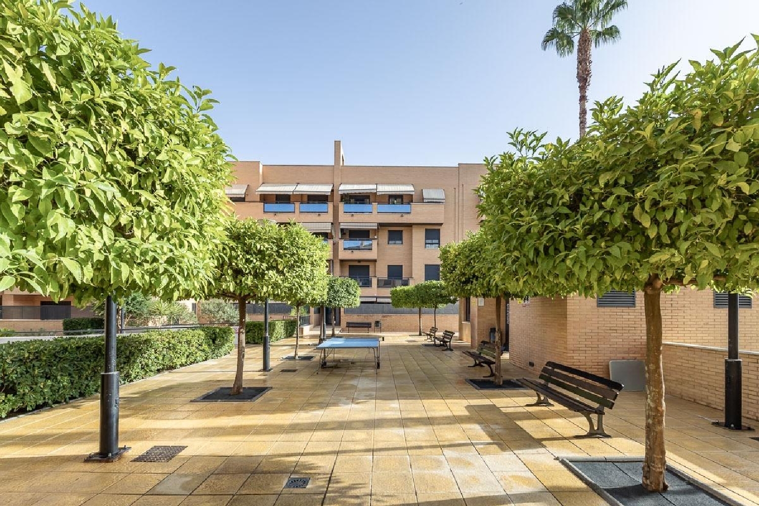  à vendre appartement Barrio De Granada Alacantí 5