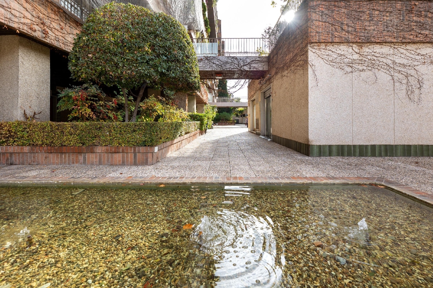  à vendre appartement Barrio De Granada Alacantí 5