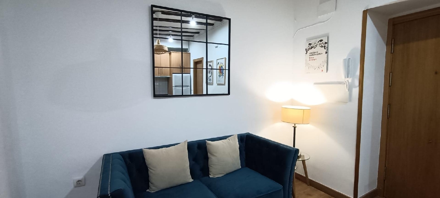 te koop appartement Barrio De Granada Alacantí 3
