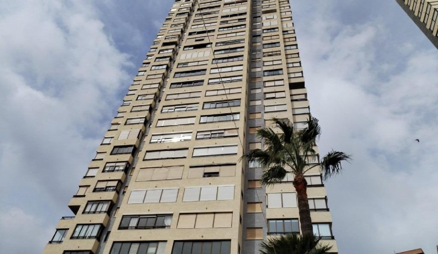  te koop appartement Benidorm (Centro) Marina Baixa 1