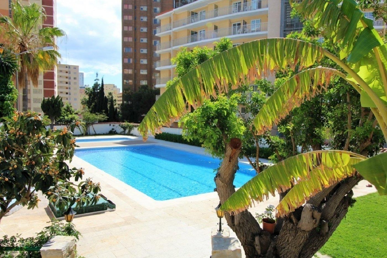  for sale apartment Benidorm (Centro) Marina Baixa 3