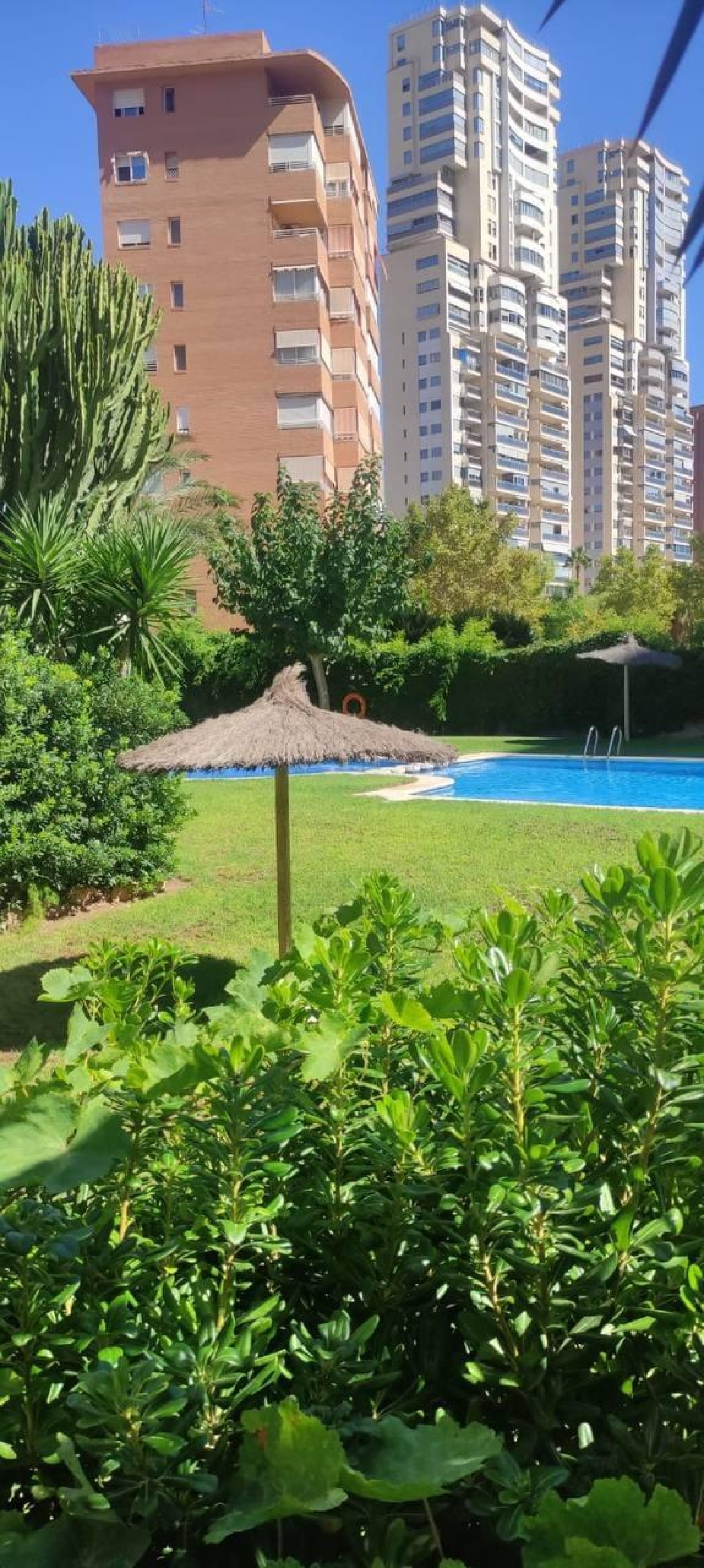  for sale apartment Benidorm (Centro) Marina Baixa 3