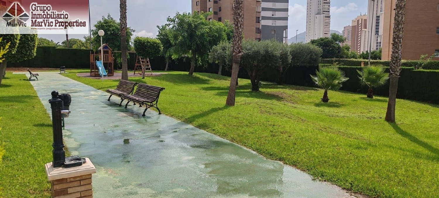  te koop appartement Benidorm (Centro) Marina Baixa 1