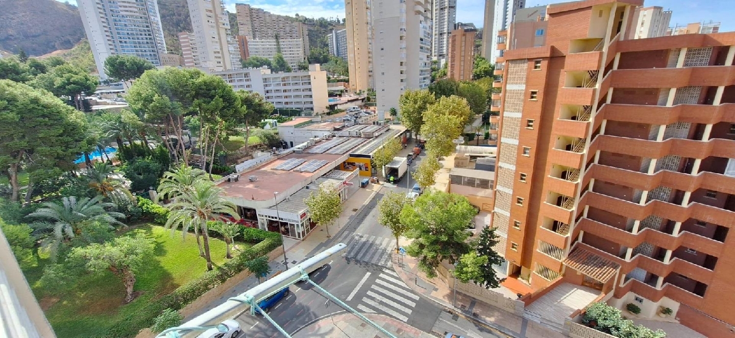  te koop appartement Benidorm (Centro) Marina Baixa 3