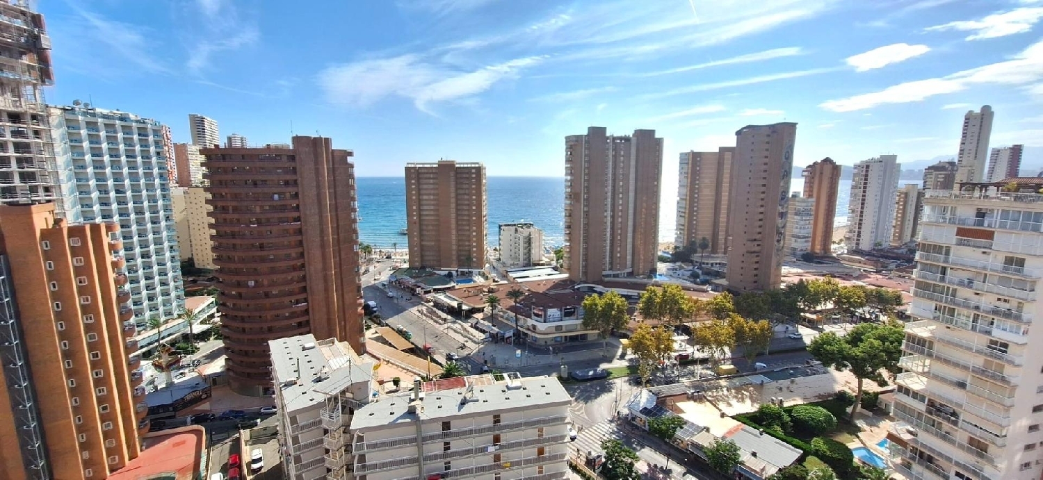  for sale apartment Benidorm (Centro) Marina Baixa 3