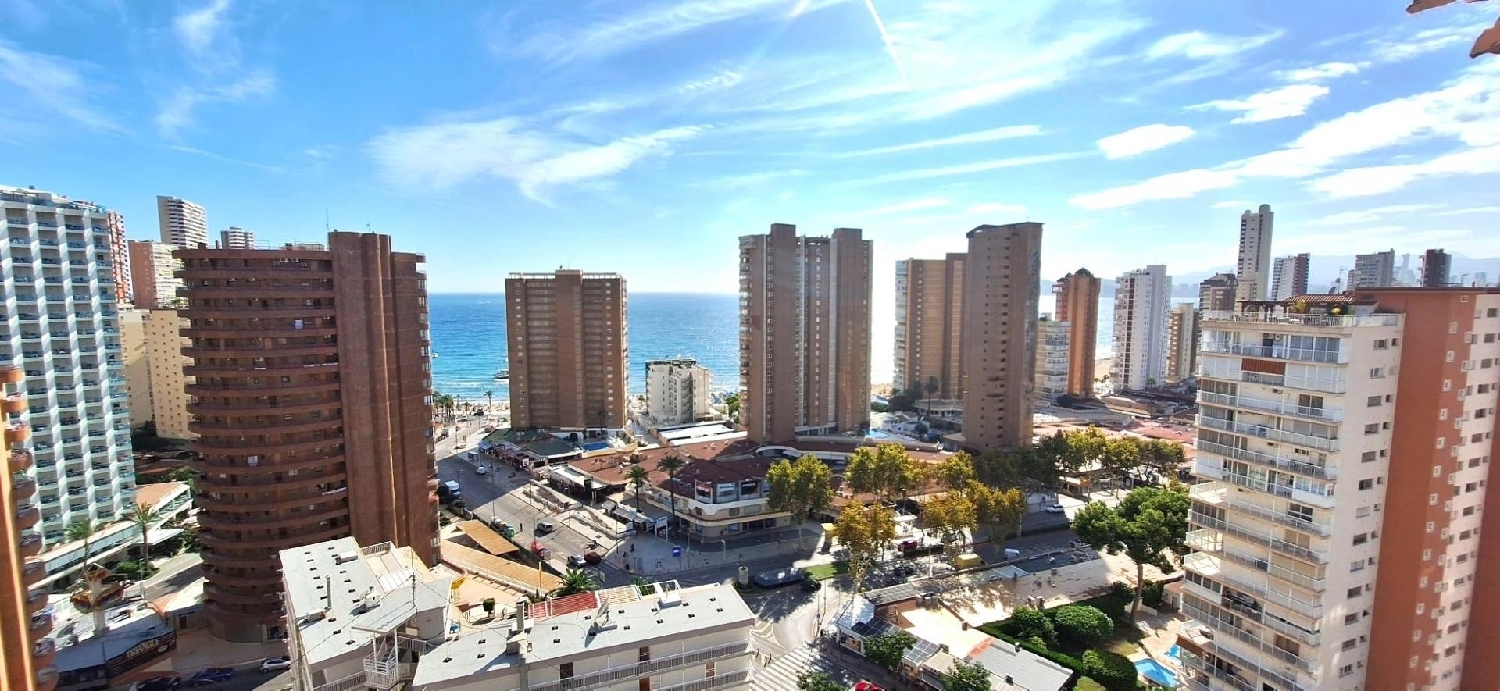  for sale apartment Benidorm (Centro) Marina Baixa 2