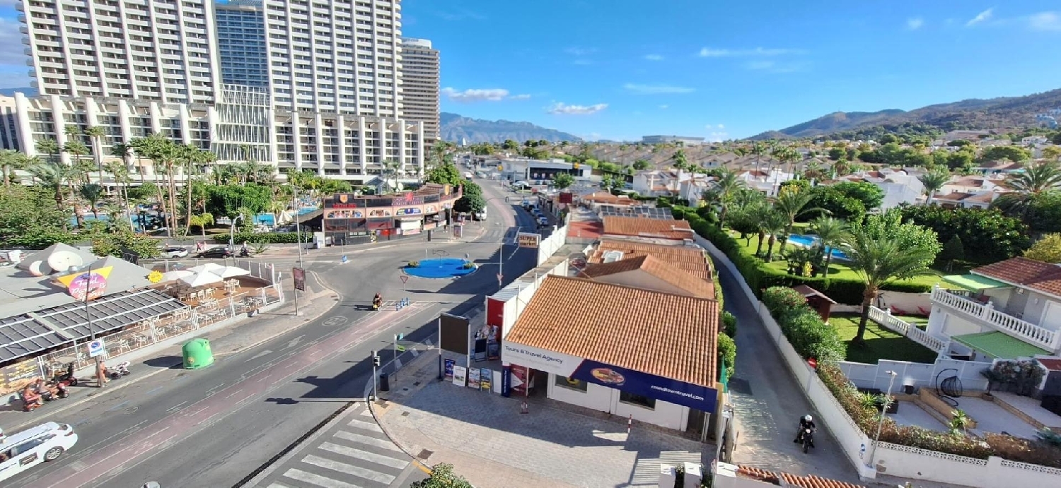  for sale apartment Benidorm (Centro) Marina Baixa 3