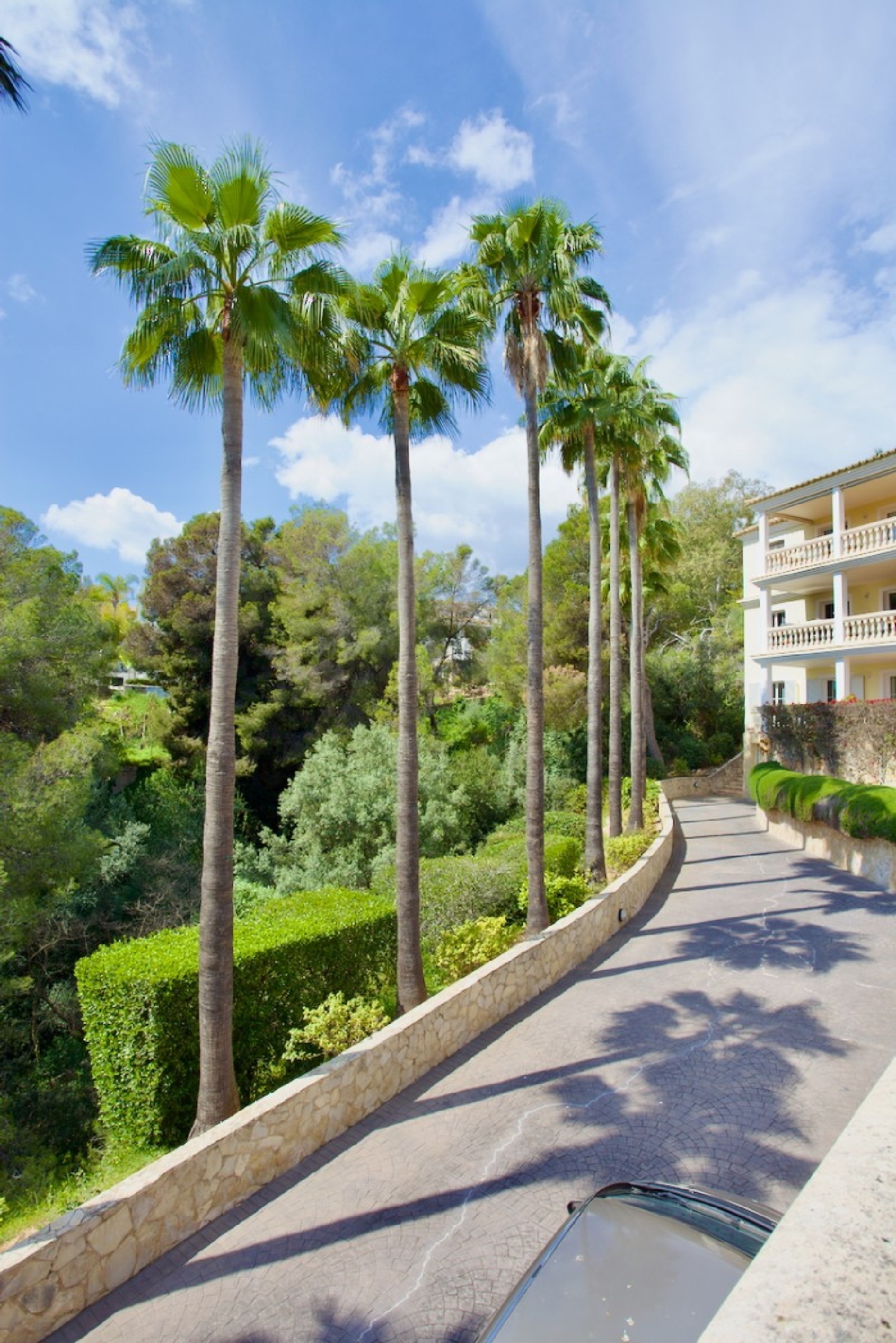  te koop appartement Calvià Ponent 7