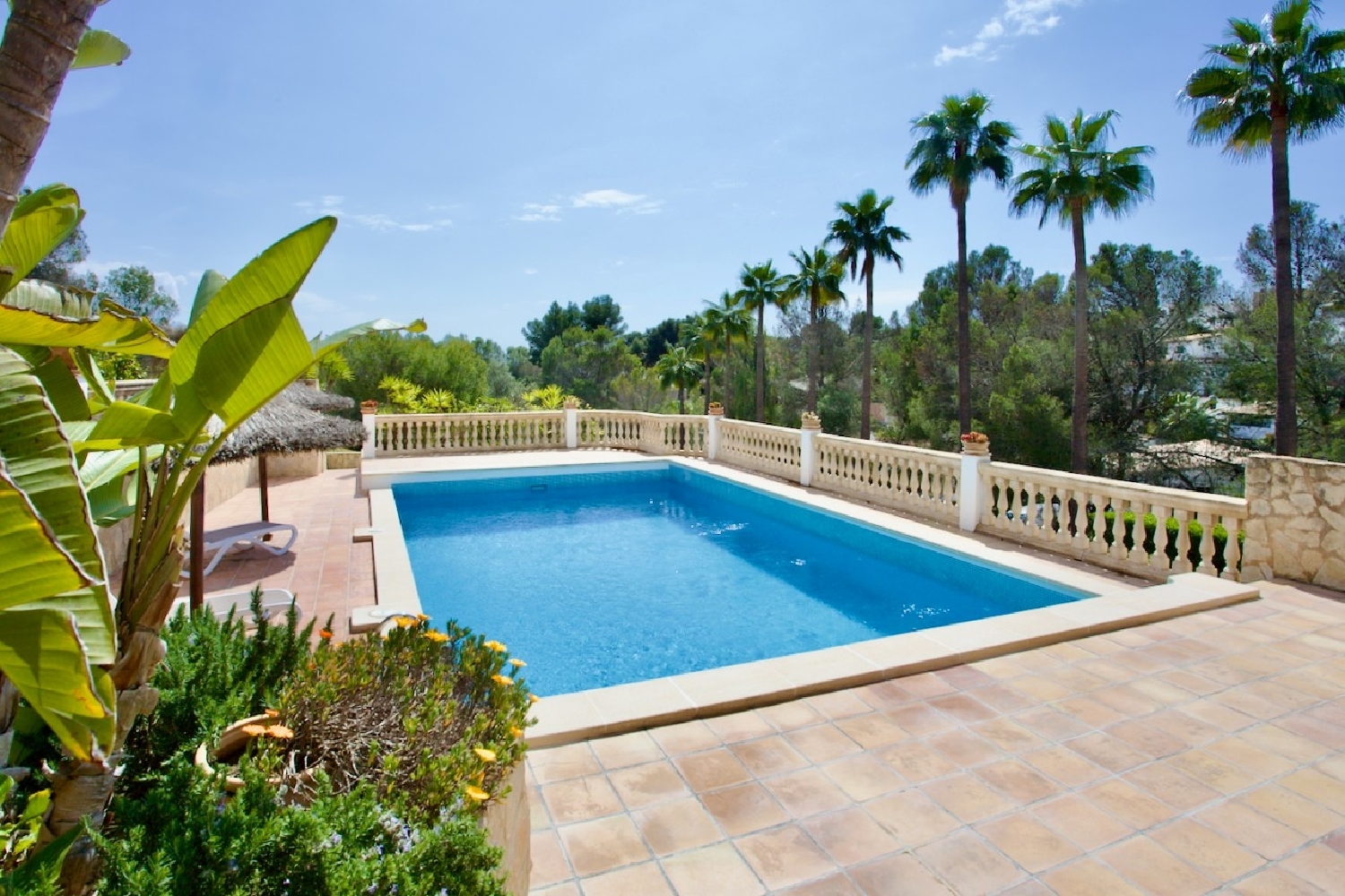  te koop appartement Calvià Ponent 3