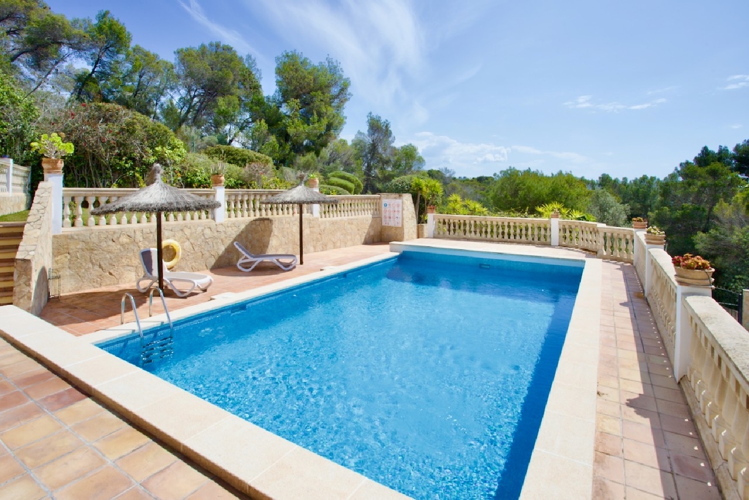  te koop appartement Calvià Ponent 4