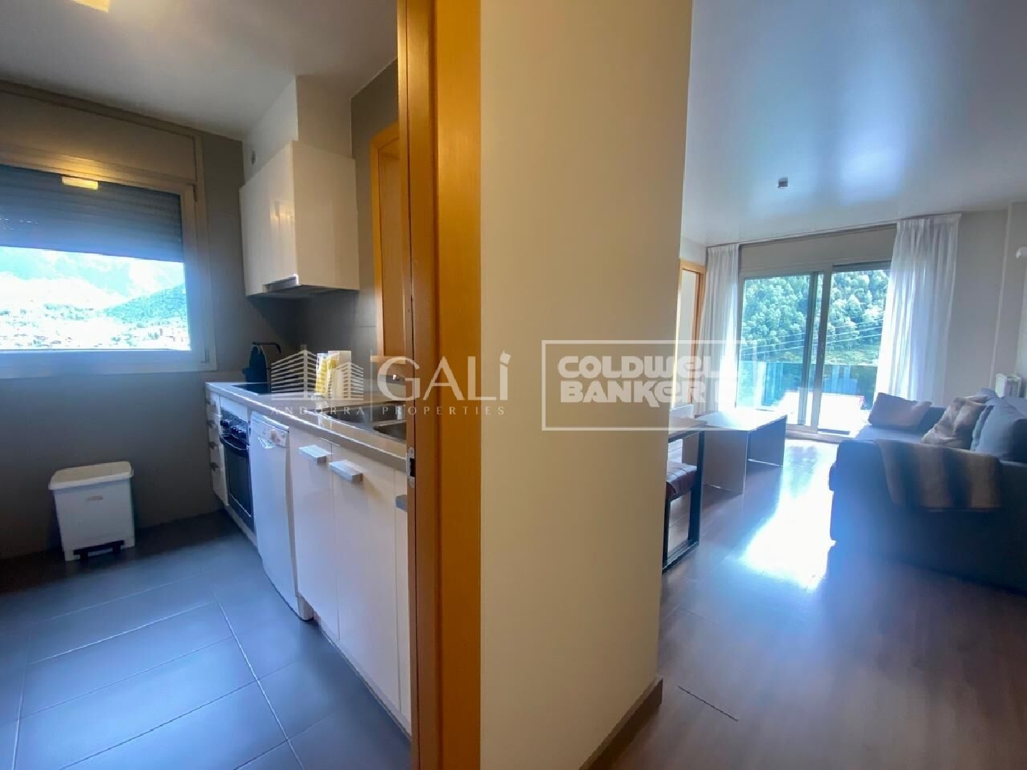  en venta apartamento Canillo Canillo 2