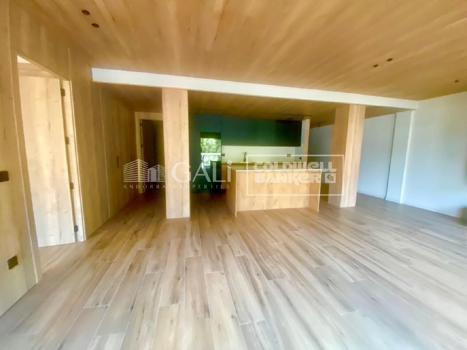 kaufen Wohnung Canillo Canillo 4