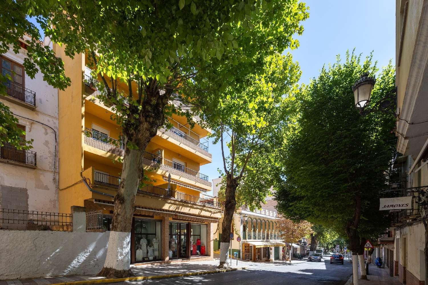 à vendre appartement Lanjarón Alpujarra Granadina 2