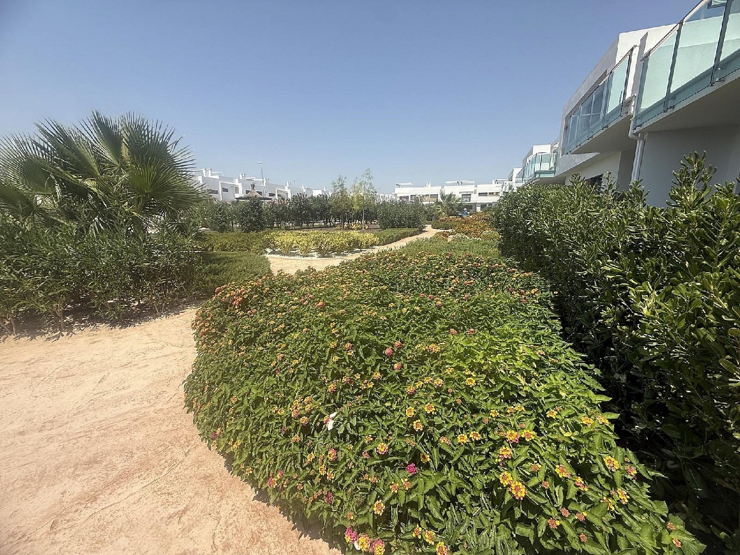  for sale apartment Los Montesinos Baix Segura 26