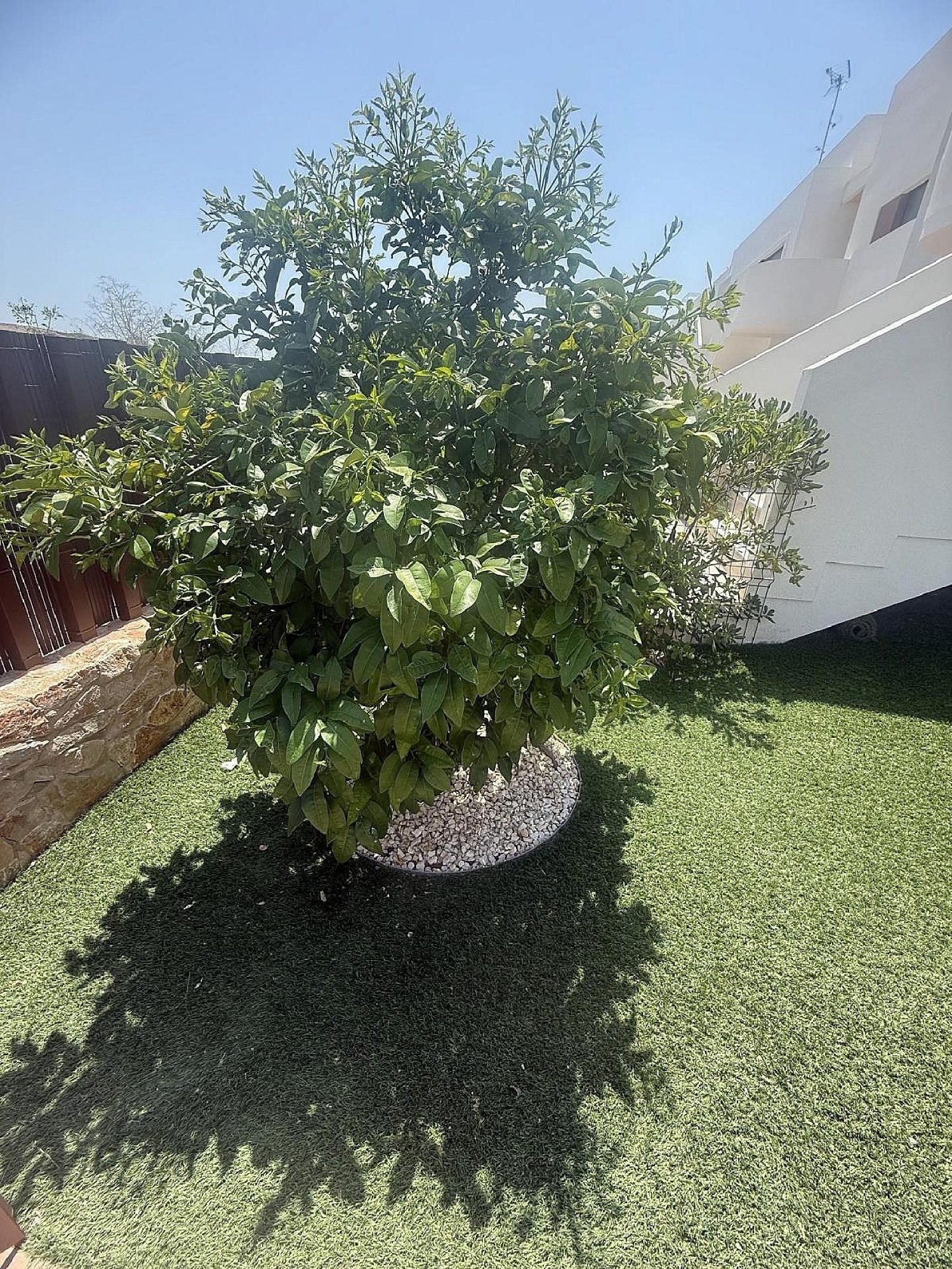  for sale apartment Los Montesinos Baix Segura 27