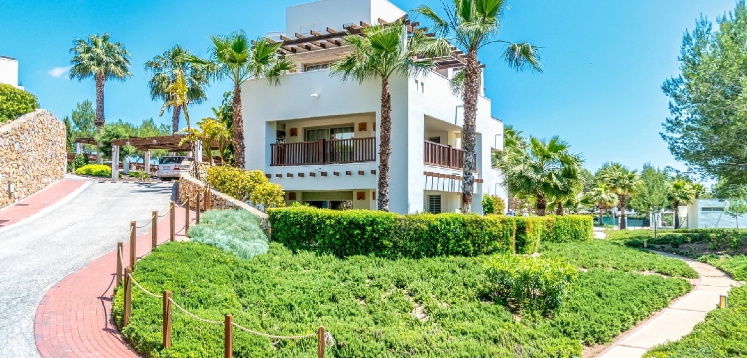  till salu lägenhet Orihuela Baix Segura 6