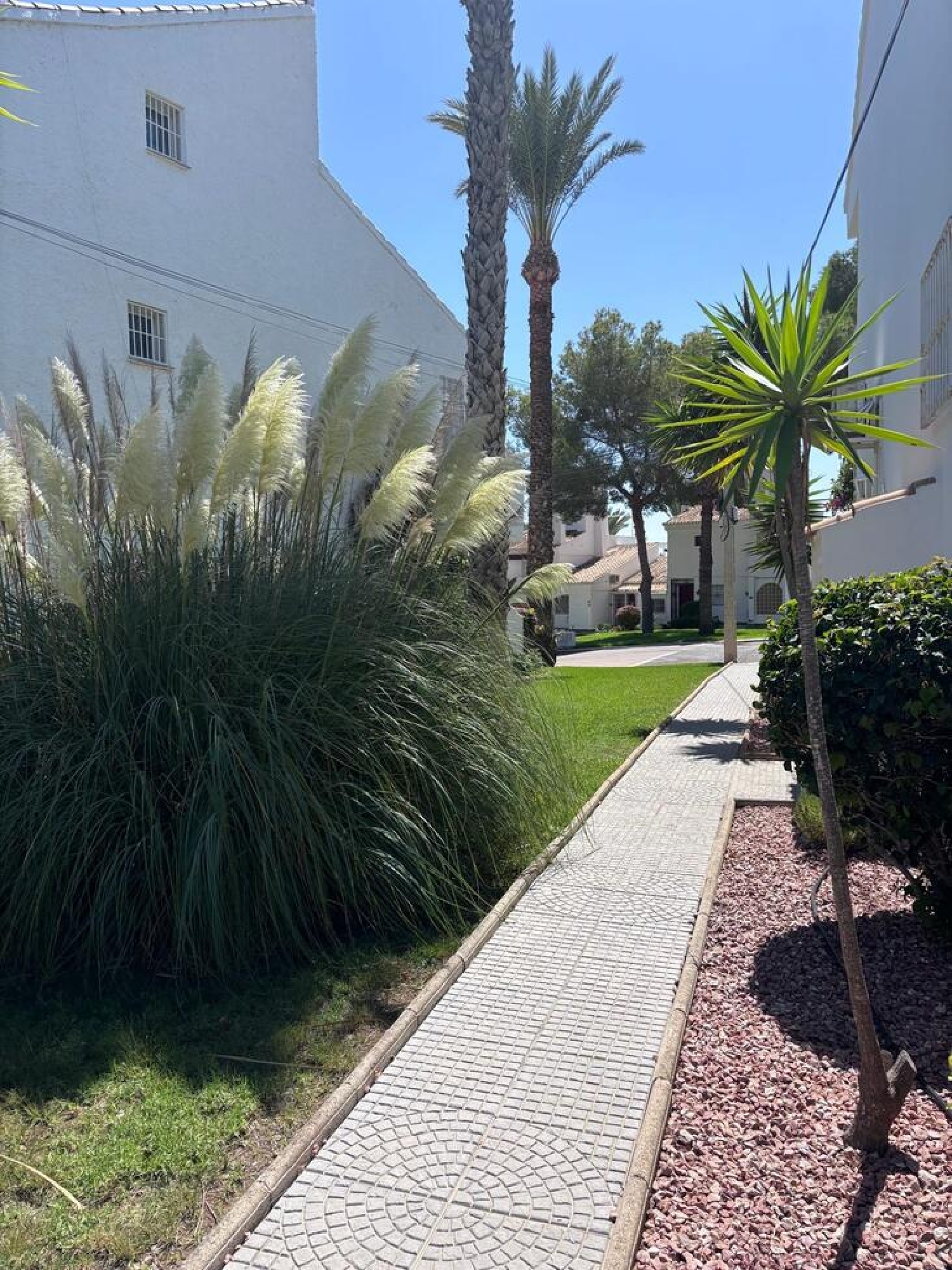 à vendre appartement Orihuela Costa Baix Segura 2