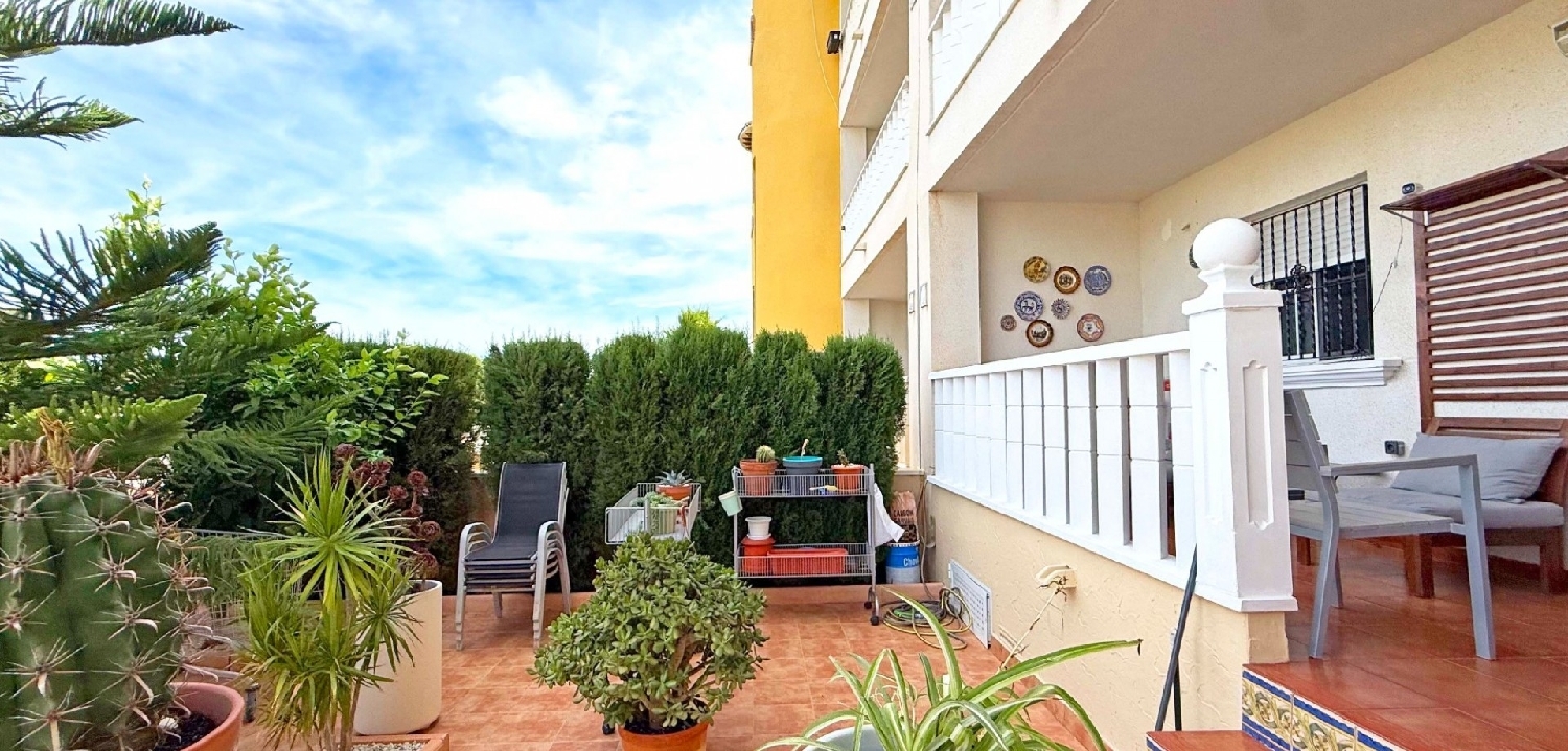 à vendre appartement Orihuela Costa Baix Segura 3