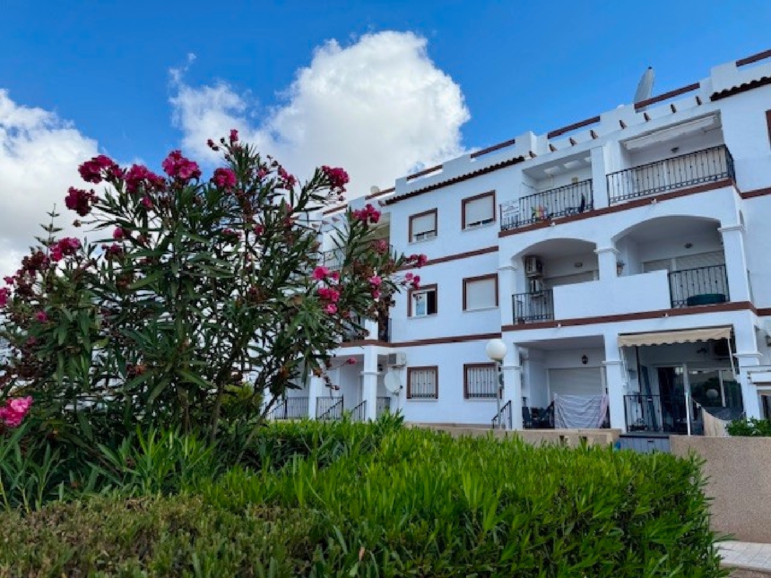 till salu lägenhet Orihuela Costa Baix Segura 8