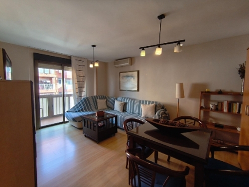 Palmeria Marina Alta apartment foto 6298087