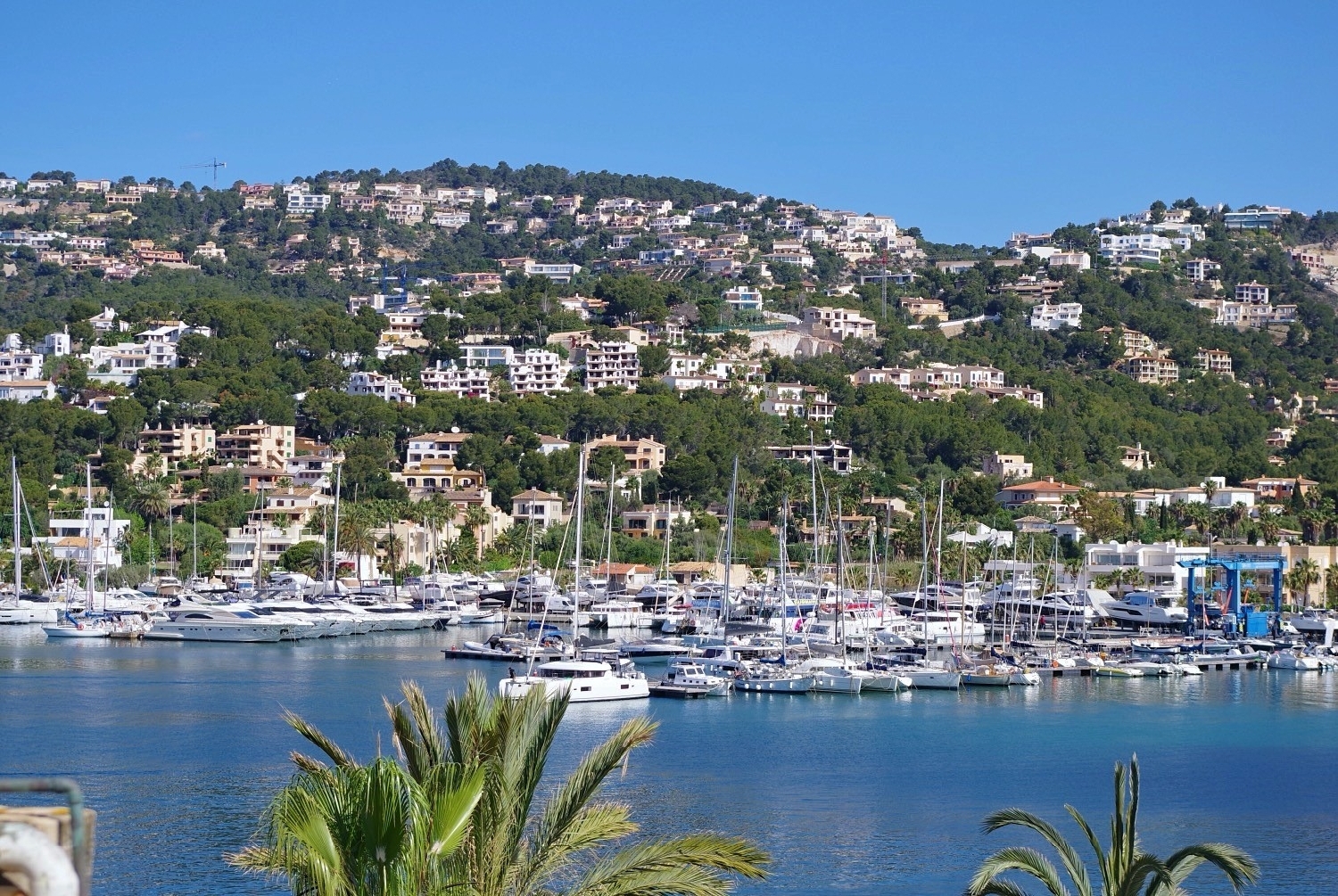  for sale apartment Port D'andratx Ponent 7