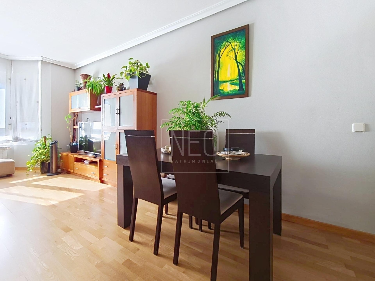  te koop appartement Rivas Eume 3