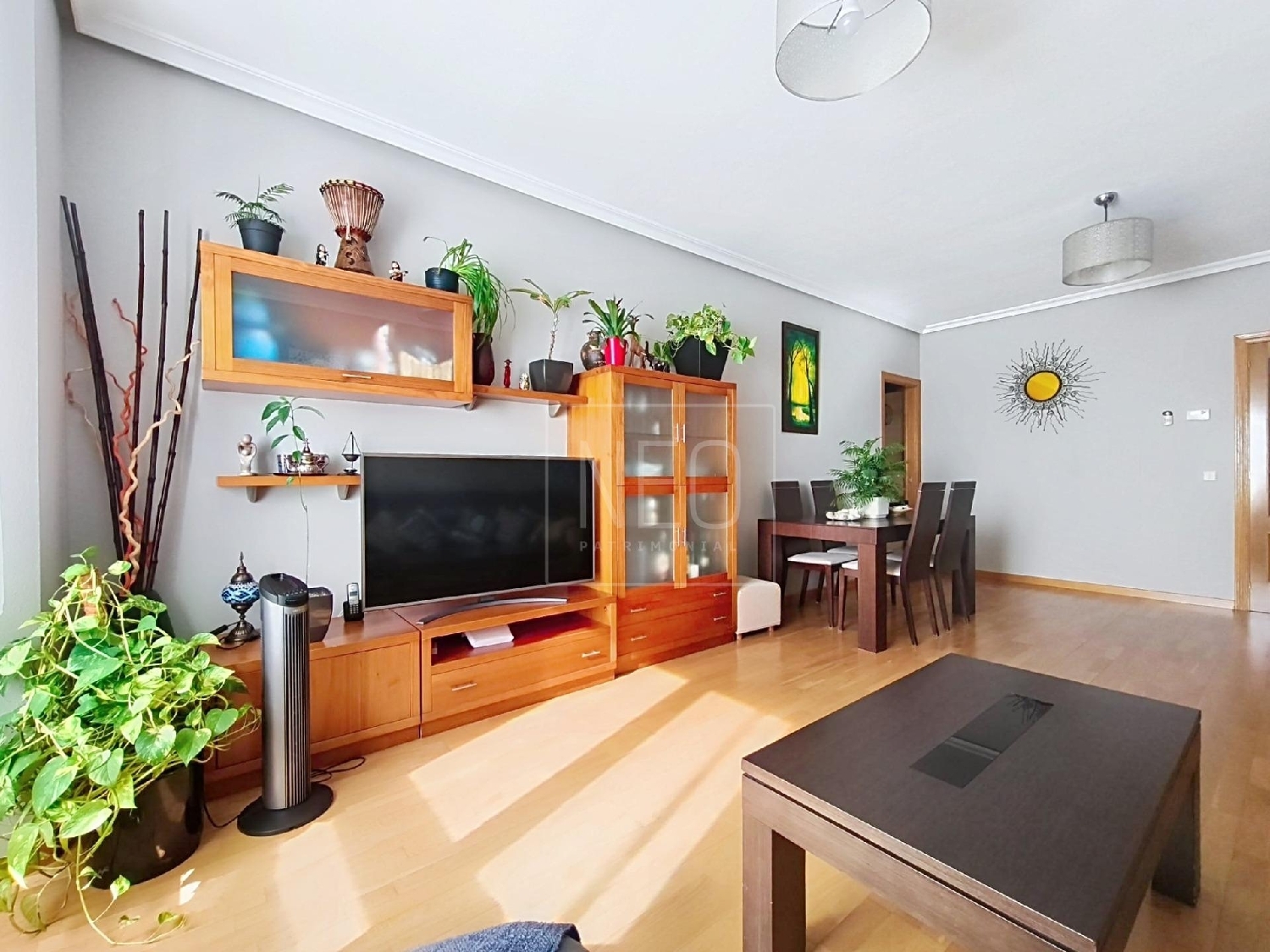  te koop appartement Rivas Eume 5