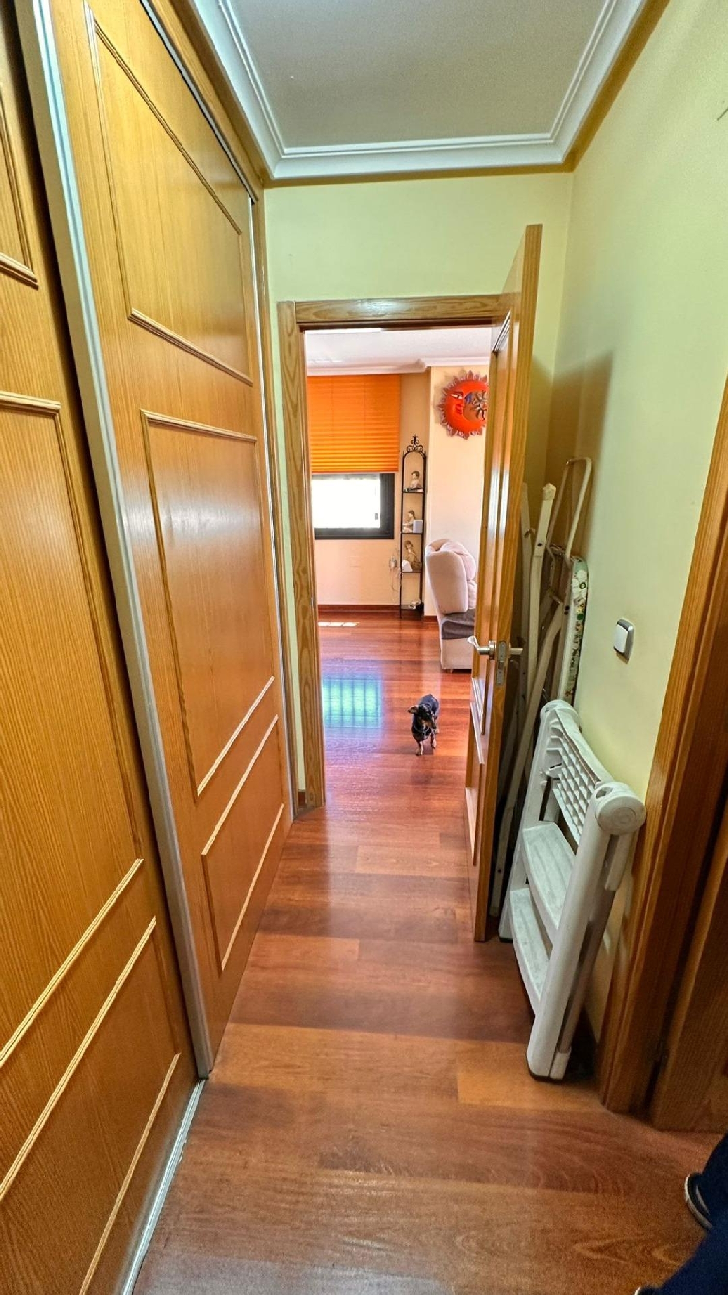 kaufen Wohnung Torrevieja Baix Segura 2