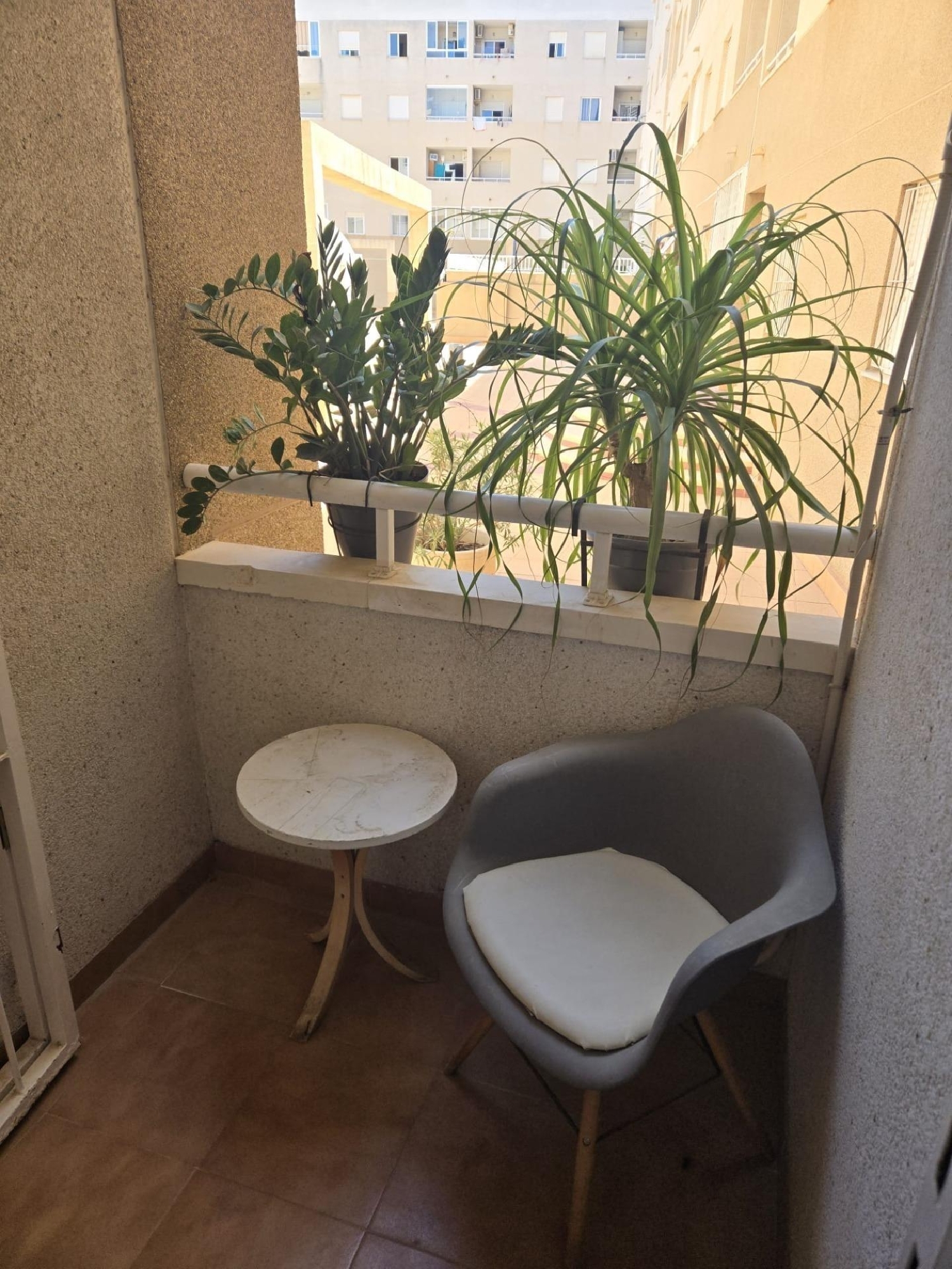  till salu lägenhet Torrevieja Baix Segura 6