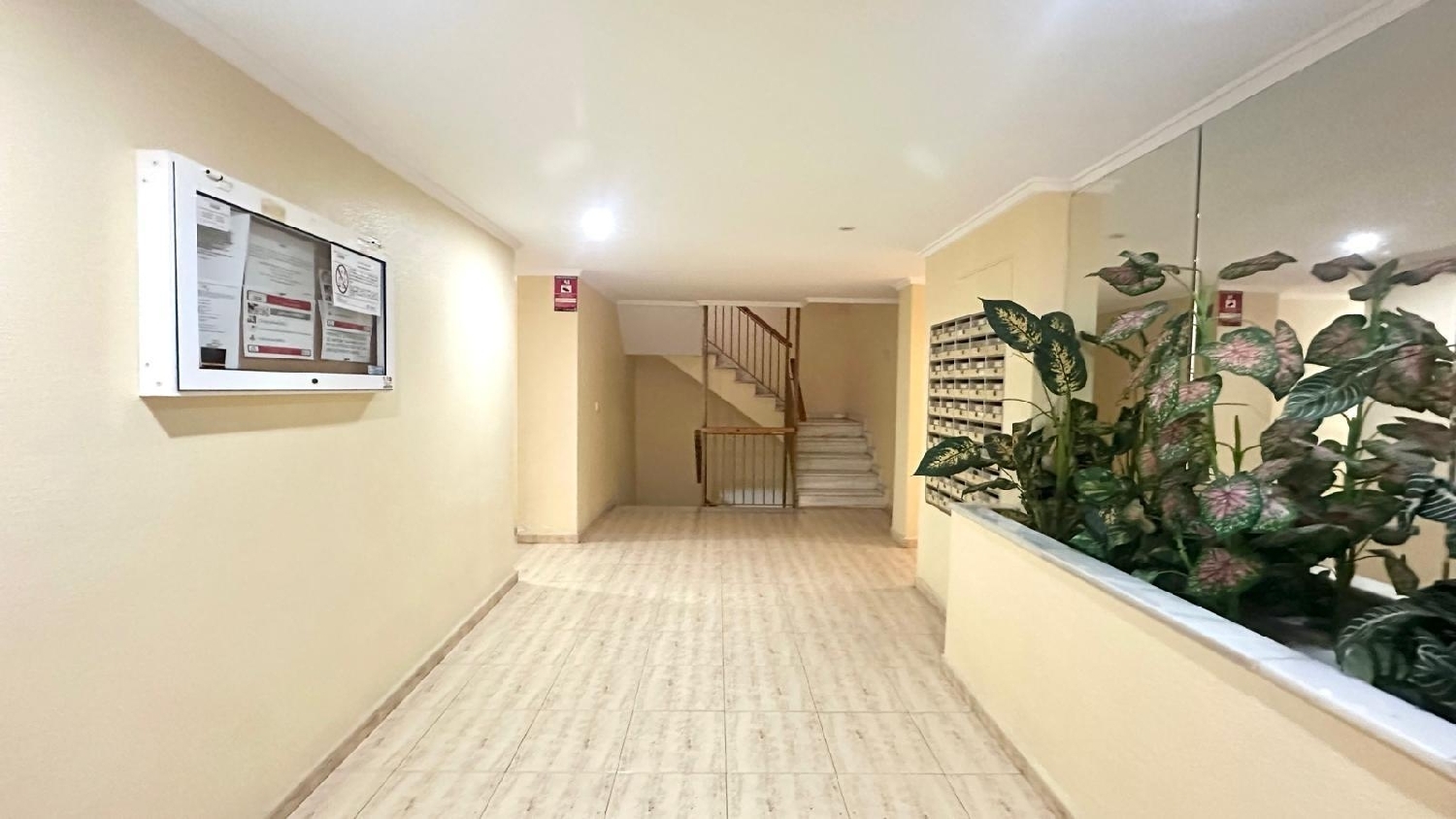  à vendre appartement Torrevieja Baix Segura 5