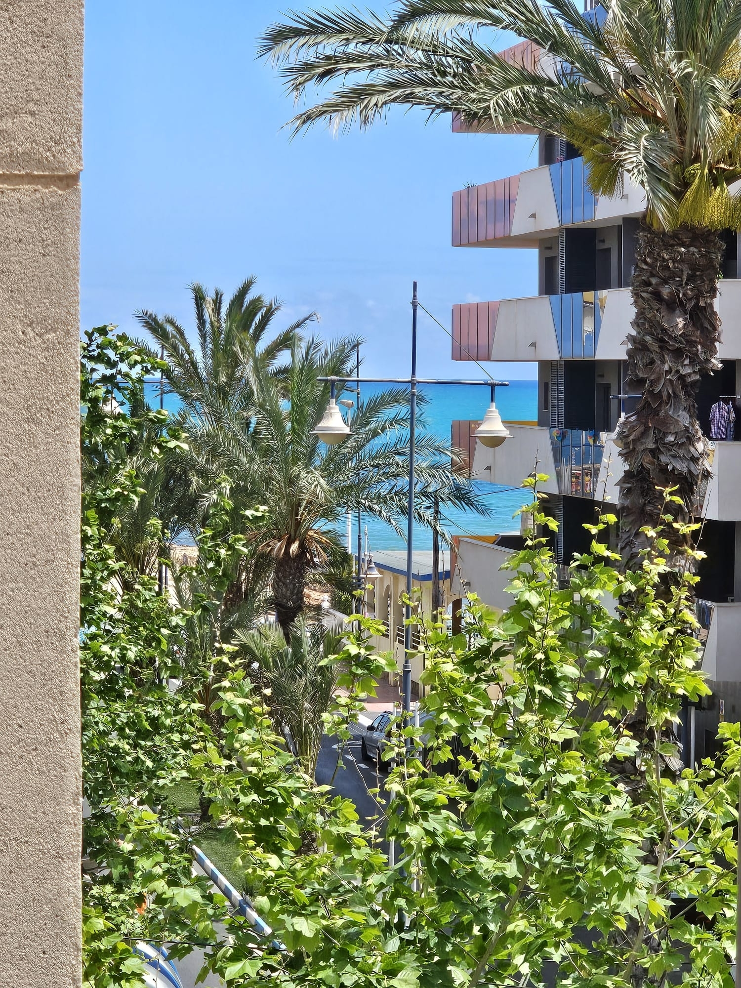 for sale apartment Torrevieja Baix Segura 3