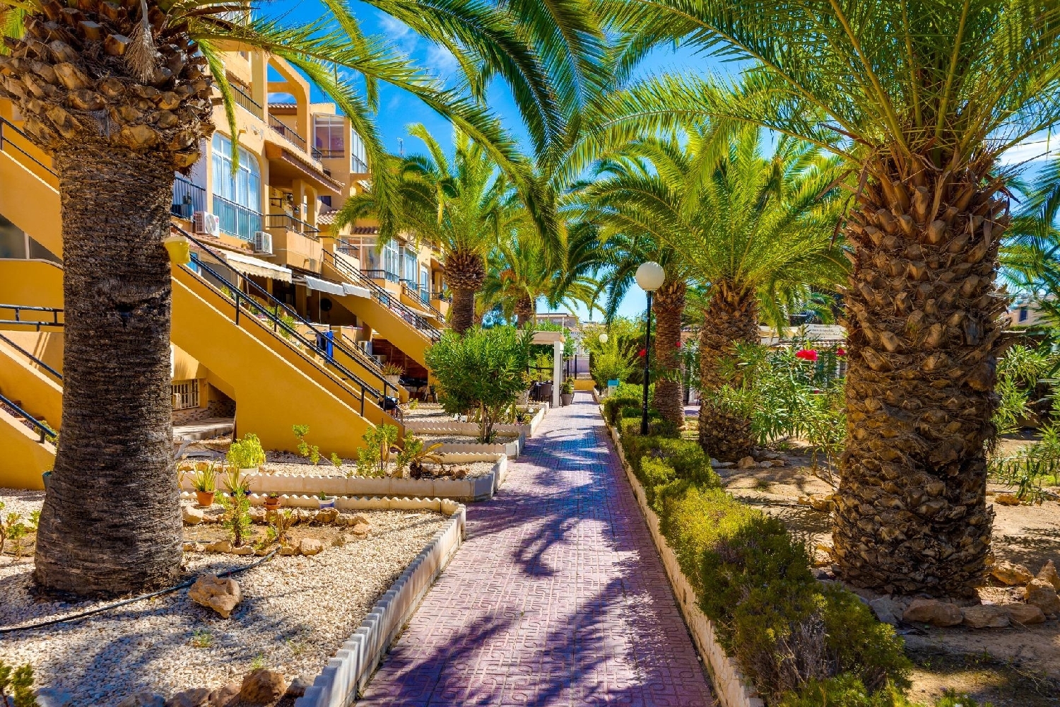  till salu lägenhet Torrevieja Baix Segura 2