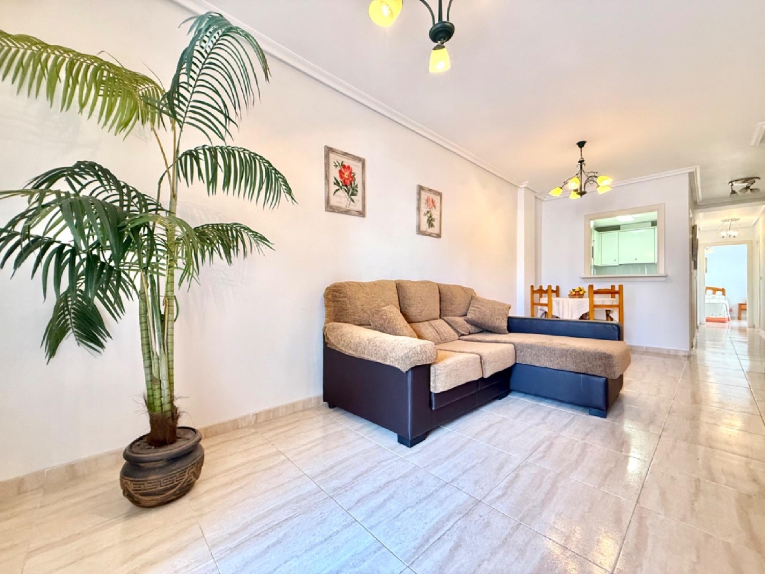  kaufen Wohnung Torrevieja Baix Segura 2