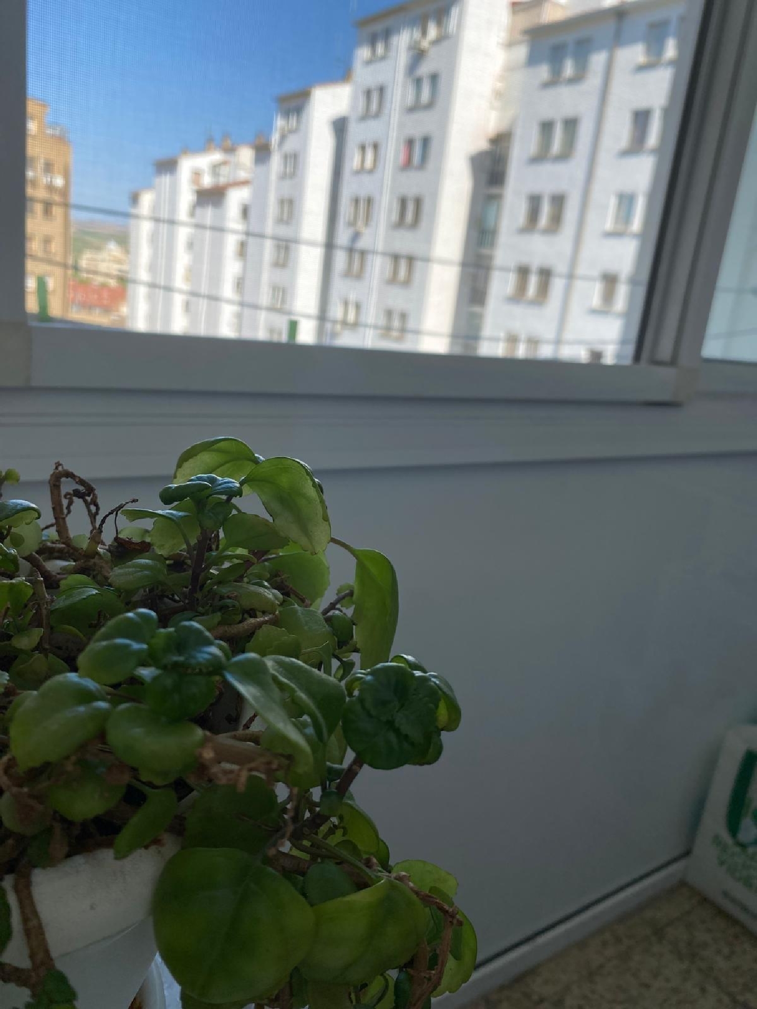  en venta apartamento Tudela Tudela 3
