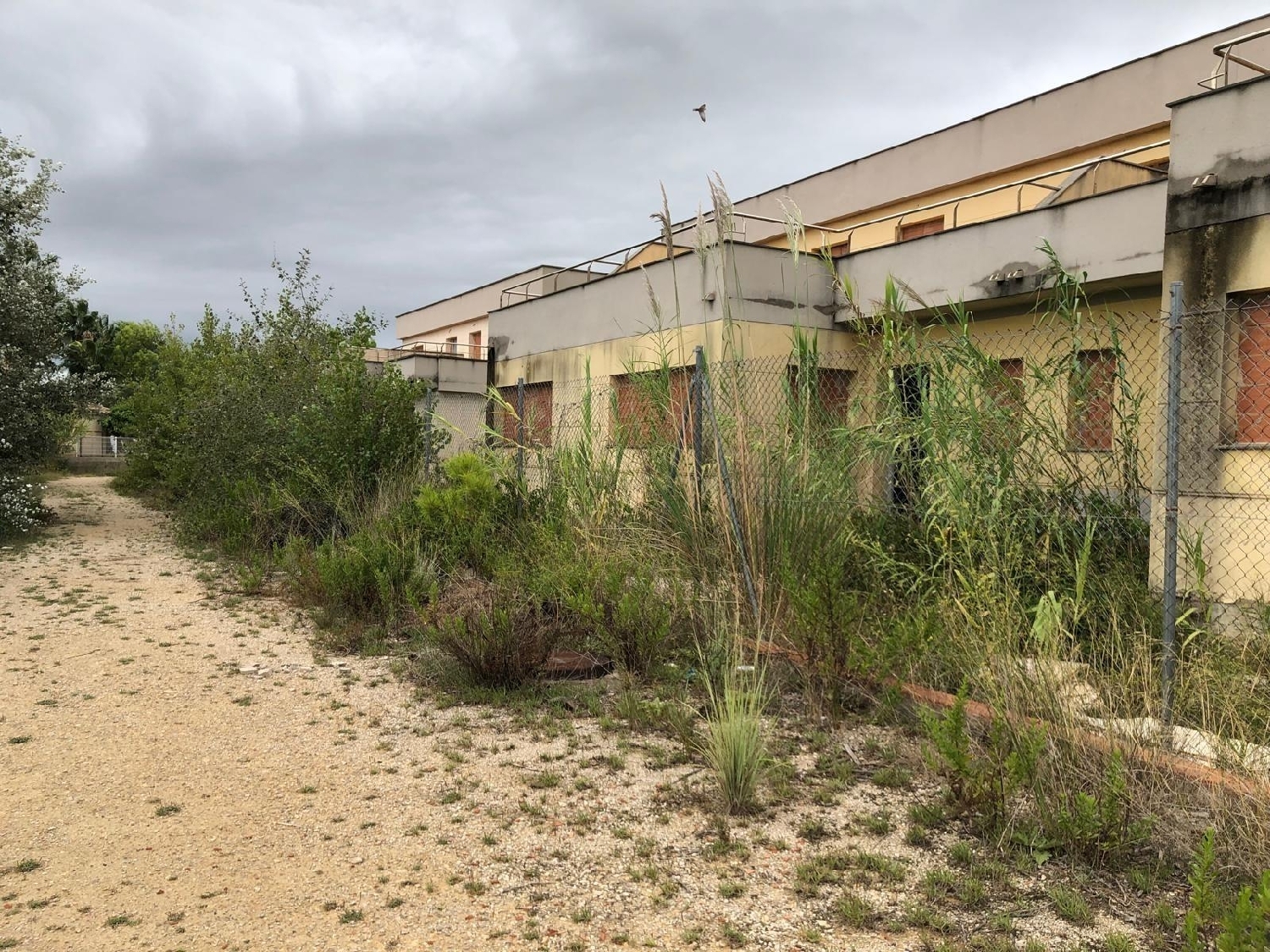  till salu byggnad Deltebre Baix Ebre 3
